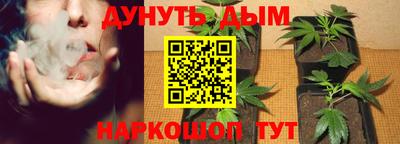 каннабис Будённовск